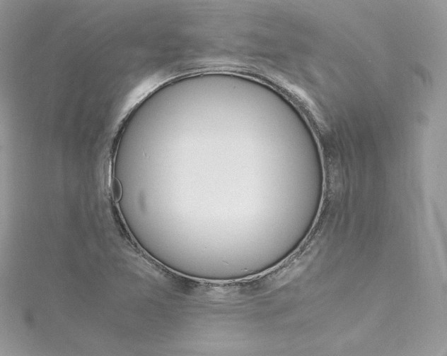 X0000115021365200911161436