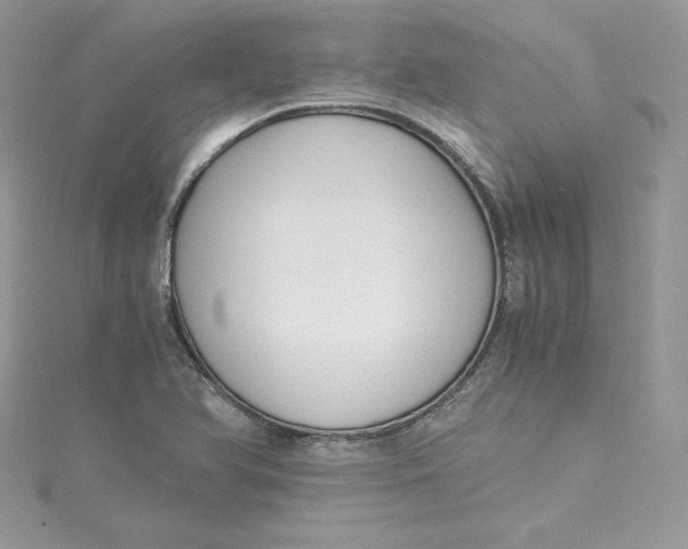 X0000115021366200911161436