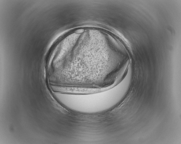 X0000115021368200911161436