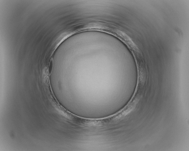 X0000115021369200911161436