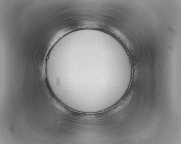 X0000115021370200911161436