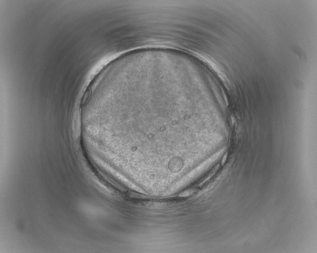 X0000115021371200911161436