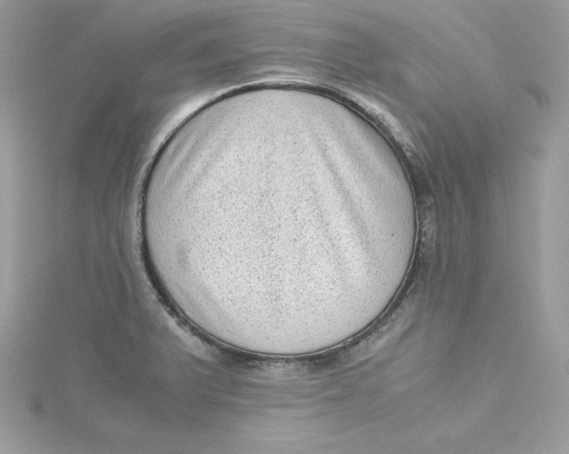 X0000115021375200911161436