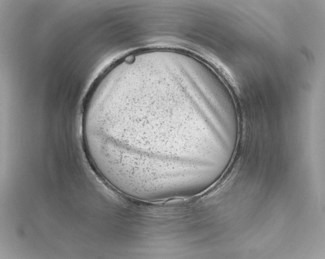 X0000115021376200911161436