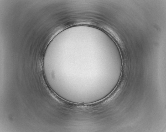 X0000115021377200911161436