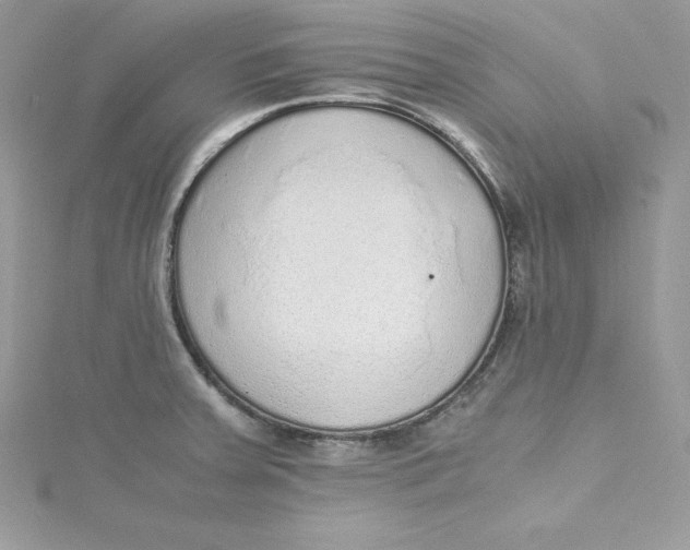 X0000115021379200911161436