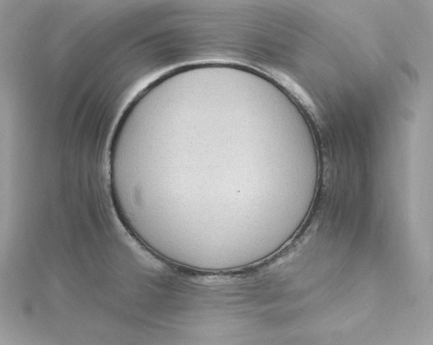 X0000115021380200911161436