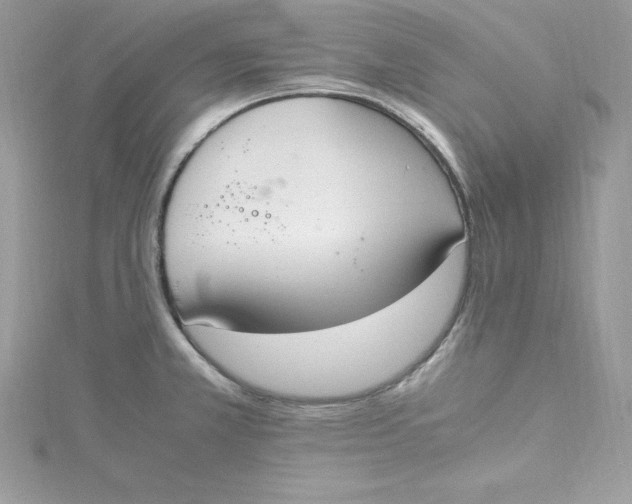 X0000115021381200911161436