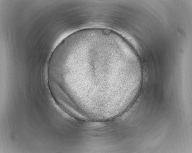 X0000115021382200911161436