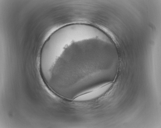 X0000115021383200911161436