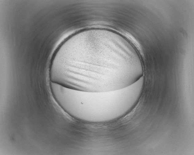 X0000115021384200911161436