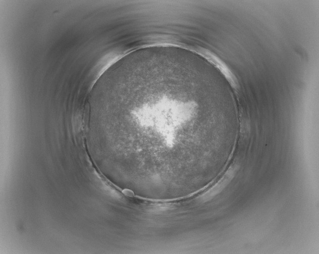 X0000115021385200911161436