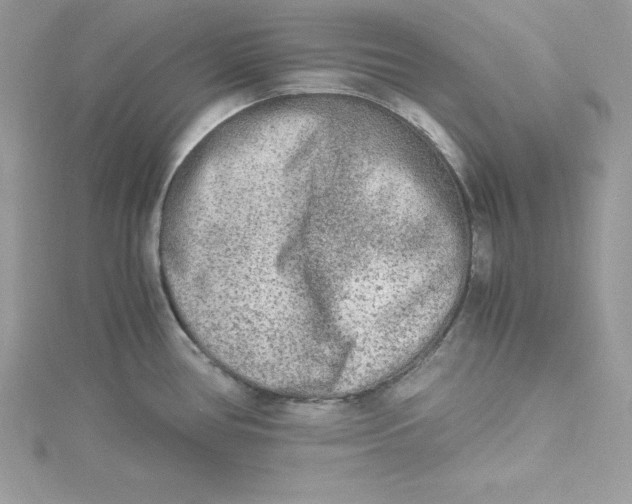 X0000115021386200911161436