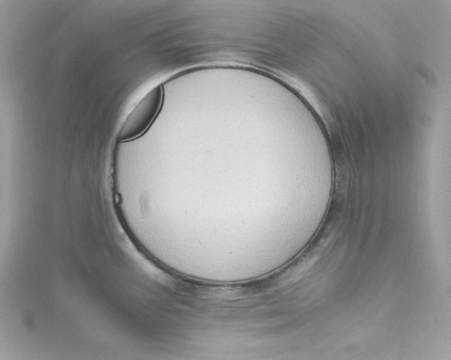 X0000115021387200911161436