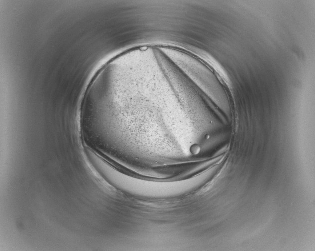 X0000115021388200911161436