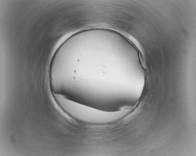 X0000115021389200911161436