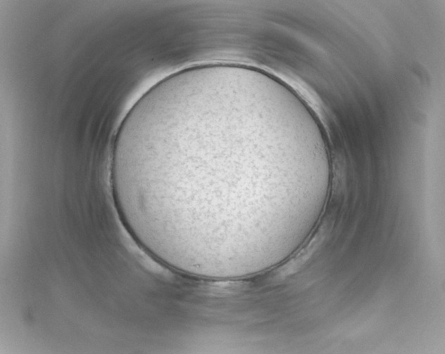 X0000115021390200911161436