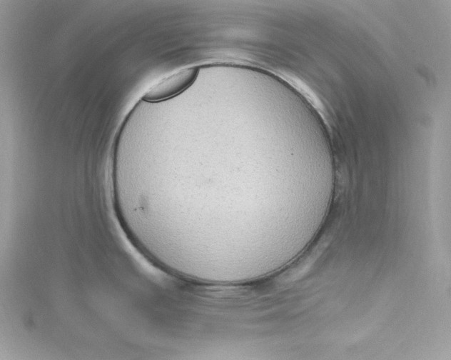 X0000115021391200911161436