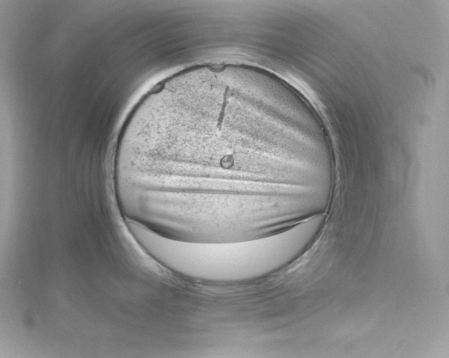 X0000115021392200911161436