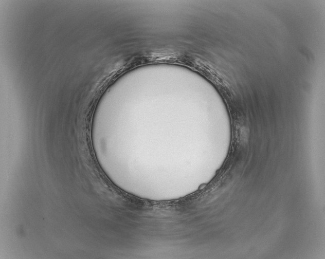 X0000115021393200911161435