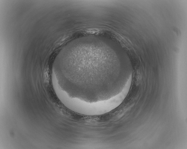 X0000115021394200911161435