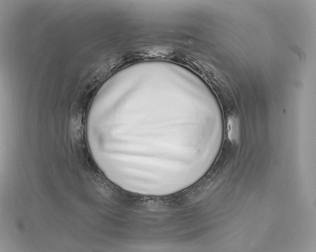 X0000115021395200911161435