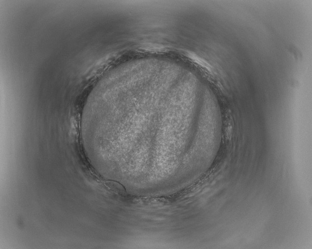 X0000115021397200911161435