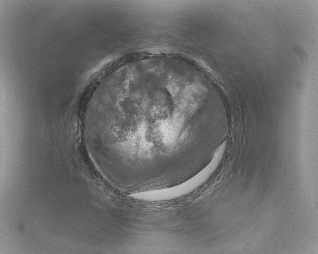 X0000115021398200911161435