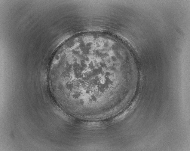 X0000115021401200911161436