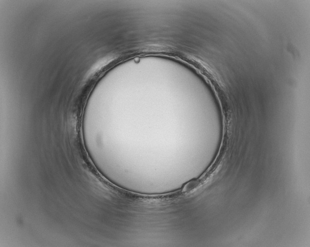 X0000115021402200911161436