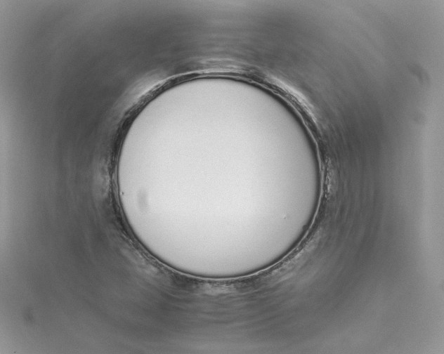 X0000115021407200911161436