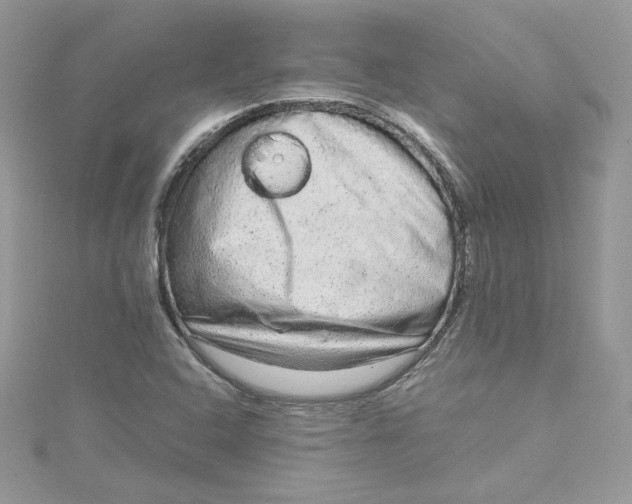 X0000115021408200911161436