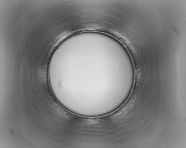 X0000115021409200911161436