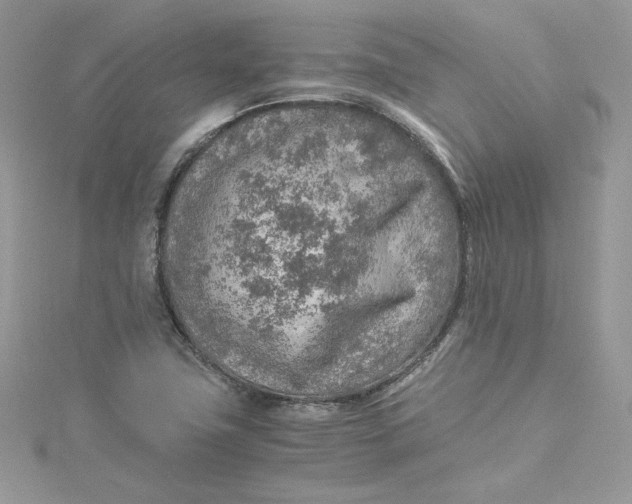 X0000115021411200911161436