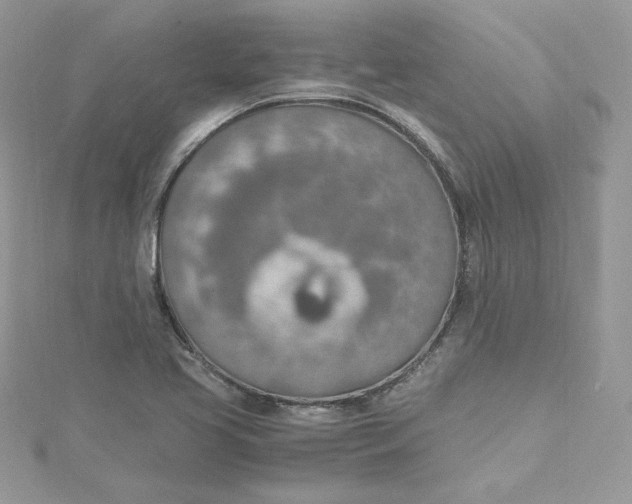 X0000115021413200911161436