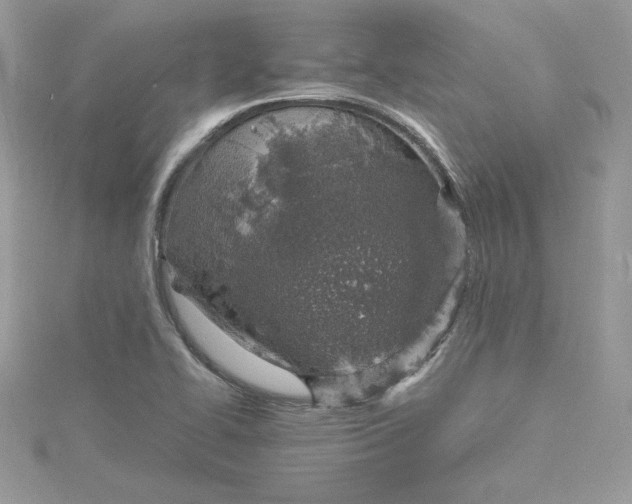 X0000115021414200911161436