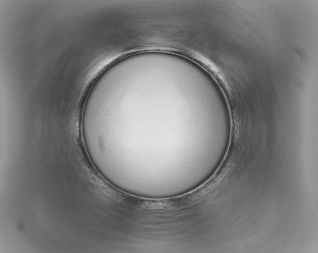 X0000115021415200911161436