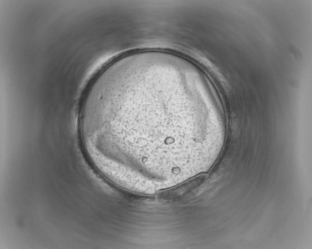 X0000115021416200911161436