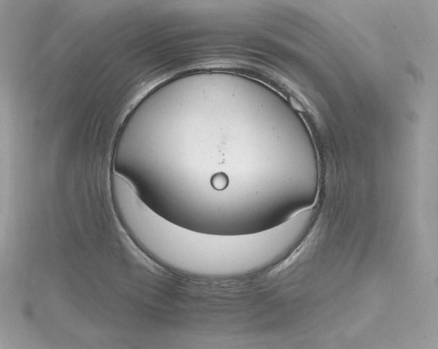 X0000115021417200911161436