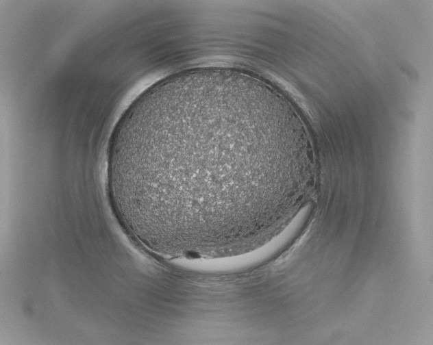 X0000115021418200911161436