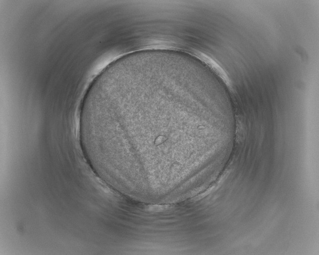 X0000115021419200911161436