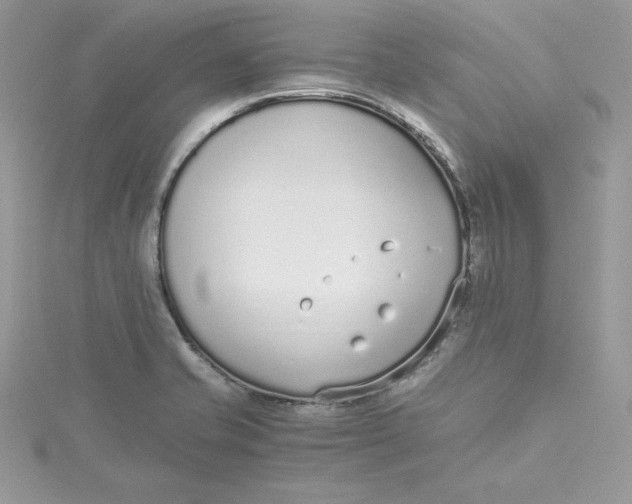 X0000115021421200911161436