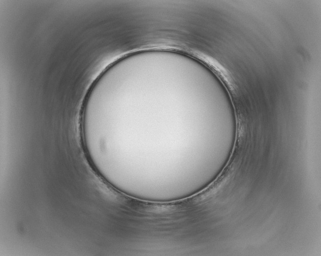 X0000115021423200911161436