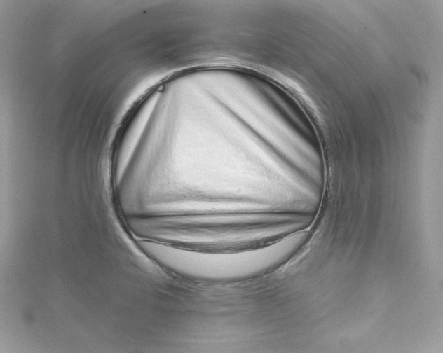 X0000115021424200911161436