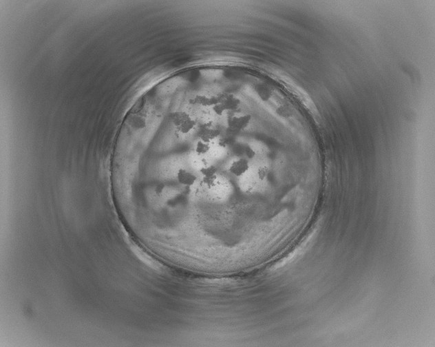 X0000115021425200911161436