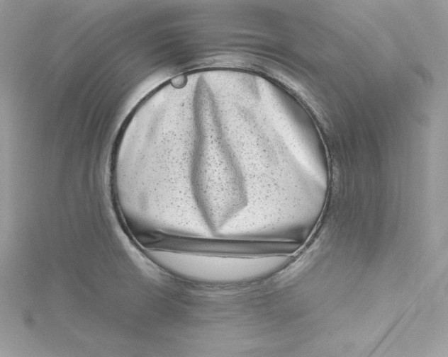 X0000115021426200911161436