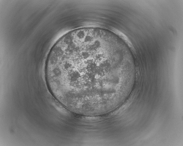 X0000115021427200911161436