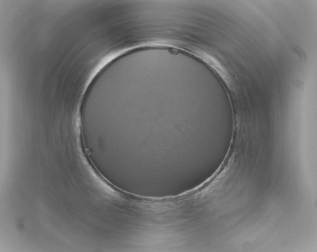 X0000115021428200911161436