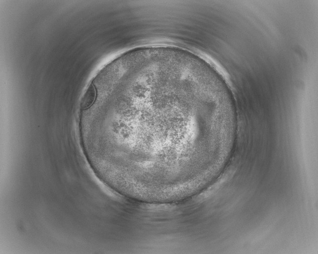 X0000115021429200911161436