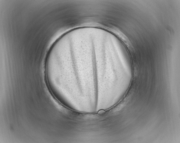 X0000115021430200911161436